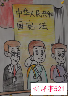 小学生宪法绘画作品