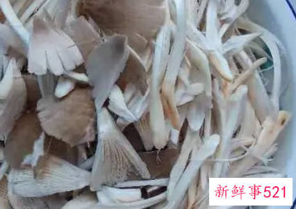 鸡枞菌怎么做好吃