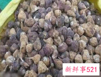 男人十大补肾壮阳食物