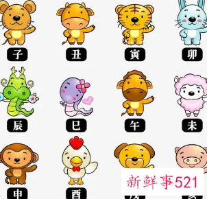 十二生肖属相婚配宜忌