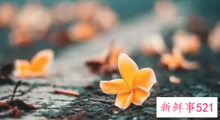 十二星座一生的命运