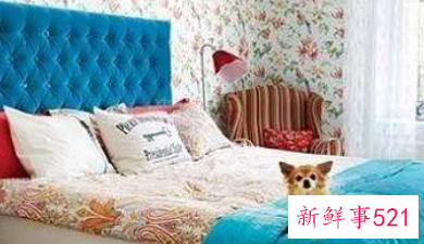 属兔人床头朝哪最好