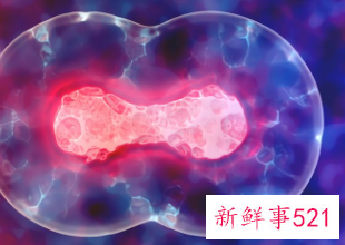 女人不排卵怎么能怀孕