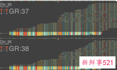 人类基因组完整图谱历时22年绘制完成