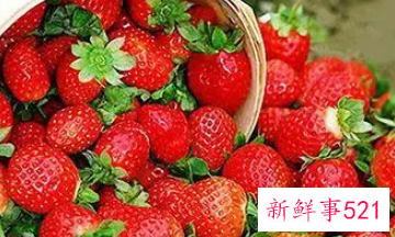 吃草莓的宜忌人群