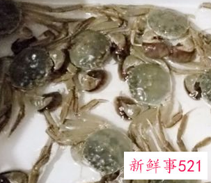 螃蟹清蒸的做法步骤