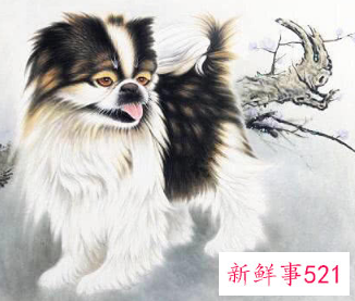 属蛇和哪些属相有缘分