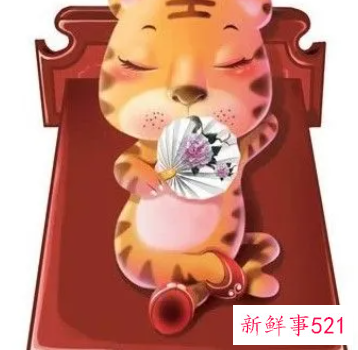 属虎和属鸡的婚姻怎么样