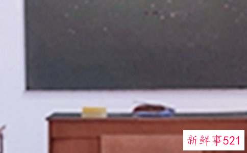 孩子在学校受欺负家长怎么办