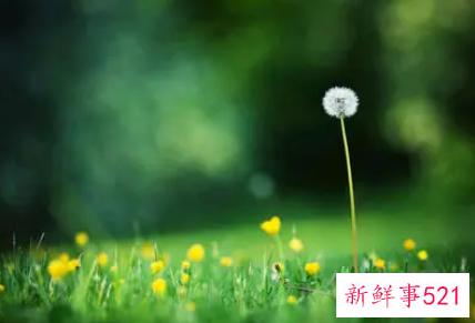 2021小学生开学自我介绍