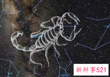 属猪女天蝎对待感情