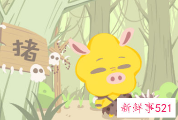 怎样抓住属猪男人的心