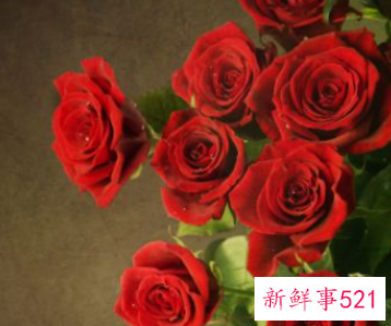 情人节买多少玫瑰花合适