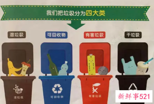 绿植属于什么垃圾分类