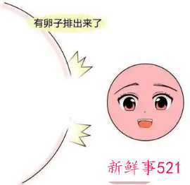 女人不排卵怎么能怀孕