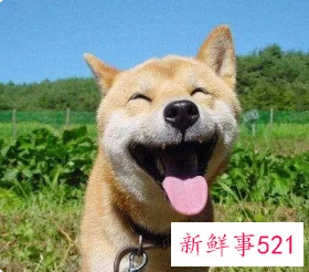 搞笑押韵六个字网名