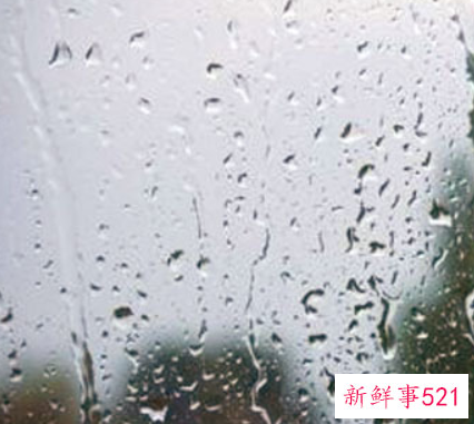 梦见雨预兆什么