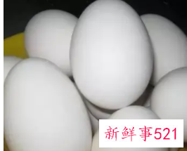怀孕第几个月吃鹅蛋去胎毒