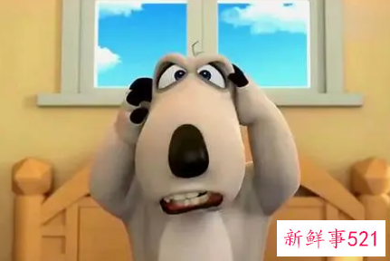 梦见倒霉熊有什么征兆