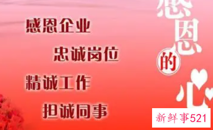 对公司的感恩感言