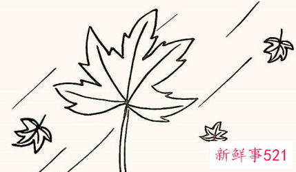 枫叶怎么画步骤