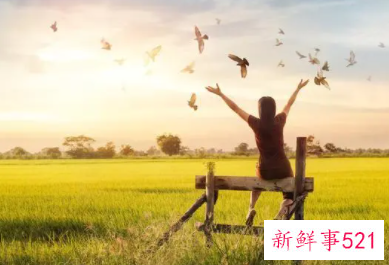 开始的那些梦想去了哪里