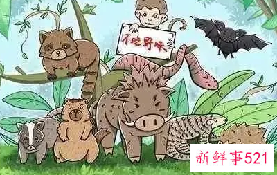 我们能为保护野生动物做些什么