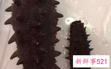 吃海参对身体的好处有哪些