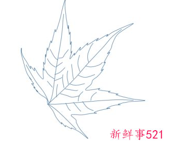 枫叶怎么画步骤