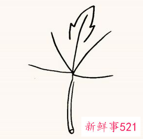 枫叶怎么画步骤