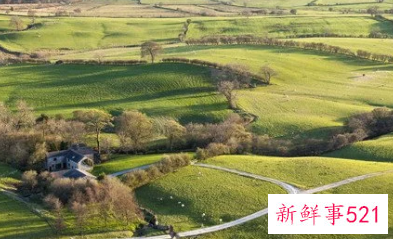 梦见郊外是什么意思