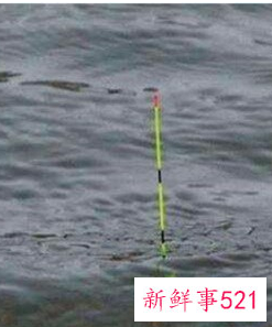 怎么看鱼漂知道鱼上钩