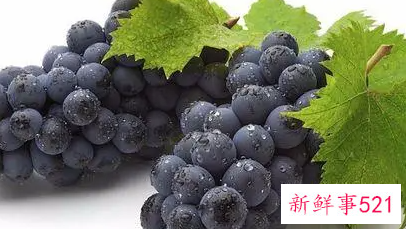 吃葡萄籽的好处与功效