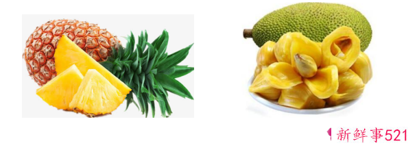 菠萝和菠萝蜜的区别