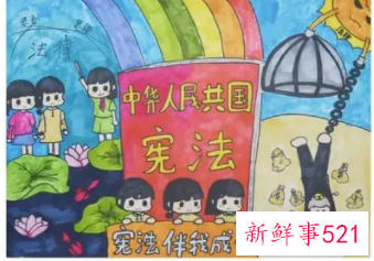小学生宪法绘画作品