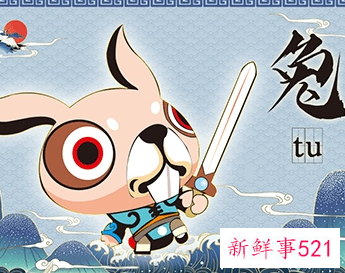 属兔的最佳方位