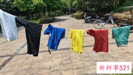 哪种颜色最凉快