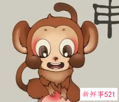 属猴的人一生运程健康运