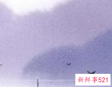 情意指的是什么意思