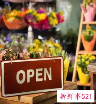 夫妻创业的项目