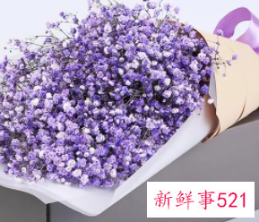 客厅放满天星干花好吗