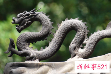 生肖龙一生的财运运势