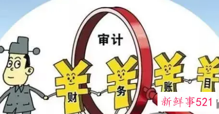 审计人员的工作总结及不足