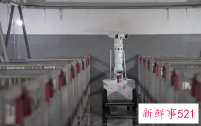 2021乌镇世界互联网大会日程公布