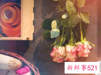 一见钟情不敢主动而错过