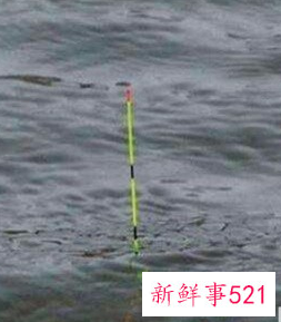 怎么看鱼漂知道鱼上钩