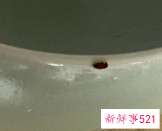 黑皮蠹虫源找到了