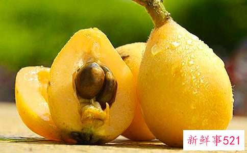 小孩能吃川贝枇杷膏吗