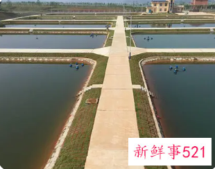 2021年我国水利工作获得优异成绩