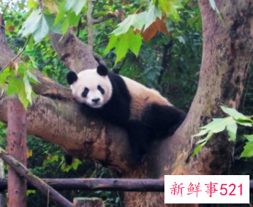 最好的旅游景点